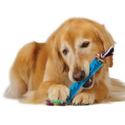 Petstages Orka Rurka Z Supłami Ps220