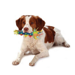 Petstages Gryzak Dla Szczeniąt Ps126