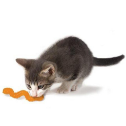 Petstages Orka Robaczek Ps329