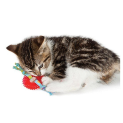 Petstages Koło do Żucia – Zabawka dla Kociąt Wspierająca Higienę