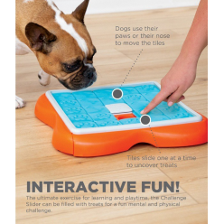 Gra Nina Ottosson Dog Challenge Slider 6P