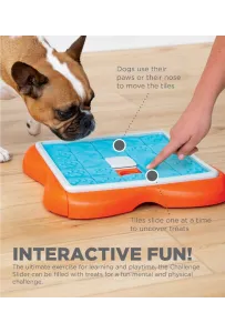 Gra Nina Ottosson Dog Challenge Slider 6P