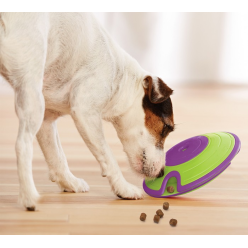 Gra Nina Ottosson Dog Treat Maze Green