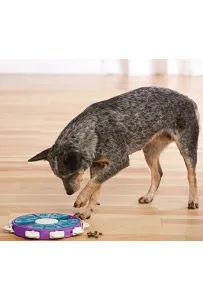 Gra Nina Ottosson Dog Twister