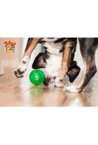 Treat Ball