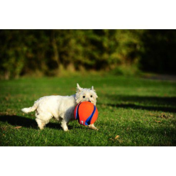 Kick Fetch Large Piłka do Aportowania i Kopania dla Psa – 20 cm