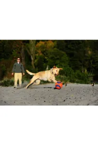 Kick Fetch Large Piłka do Aportowania i Kopania dla Psa – 20 cm