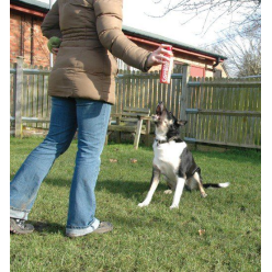 Pet Corrector 50Ml