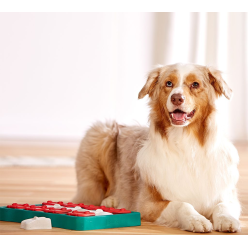 Gra Nina Ottosson Dog Brick