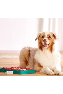 Gra Nina Ottosson Dog Brick