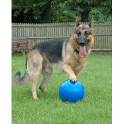 Boomer Ball Roz.s "4" 11Cm Niebieska