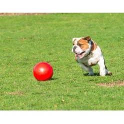 Boomer Ball Roz.s "4" 11Cm Czerwona