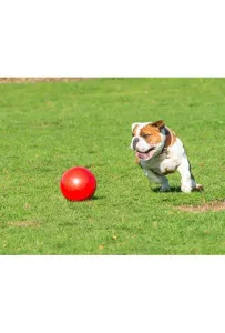 Boomer Ball Roz.s "4" 11Cm Czerwona