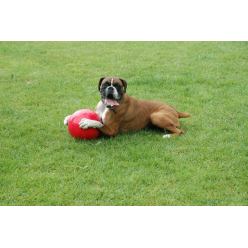 Boomer Ball Roz.s "4" 11Cm Czerwona