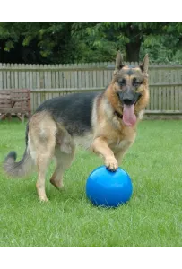 Boomer Ball Roz.m "6" 15Cm Niebieska