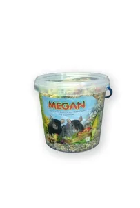 Megan Wiaderko 1L Szczurek           /18