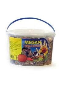 Megan Wiaderko 3L Gryzoń /12