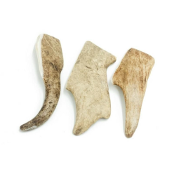 4Dogs Gryzak Poroże Daniela L (Hard) /15