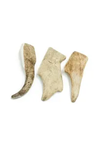 4Dogs Gryzak Poroże Daniela Xl (Hard) /10