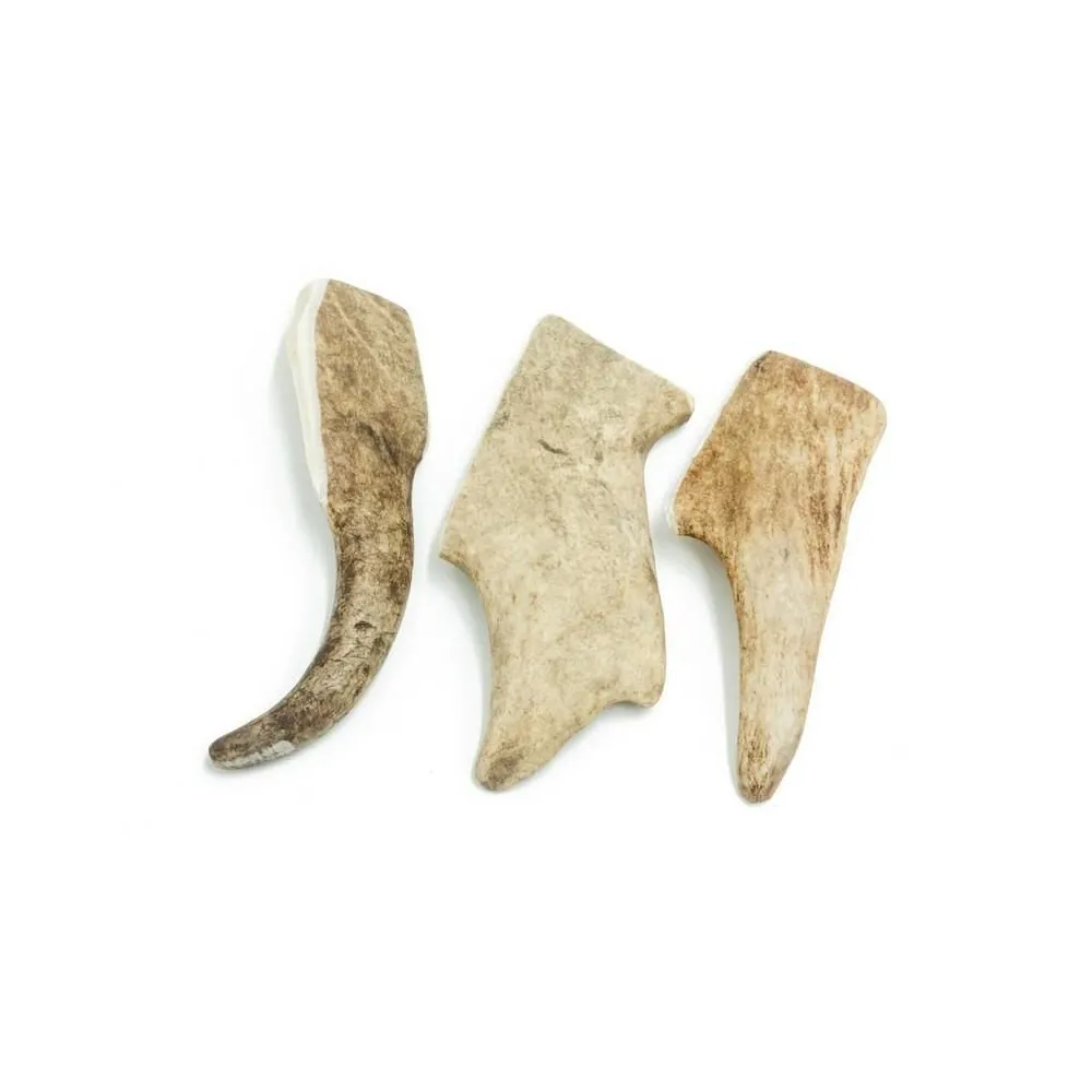 4Dogs Gryzak Poroże Daniela Xl (Hard) /10