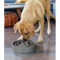 Outward Hound Fun Feeder Miska Spowalniająca Jedzenie Szara Large