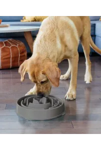 Outward Hound Fun Feeder Miska Spowalniająca Jedzenie Szara Large