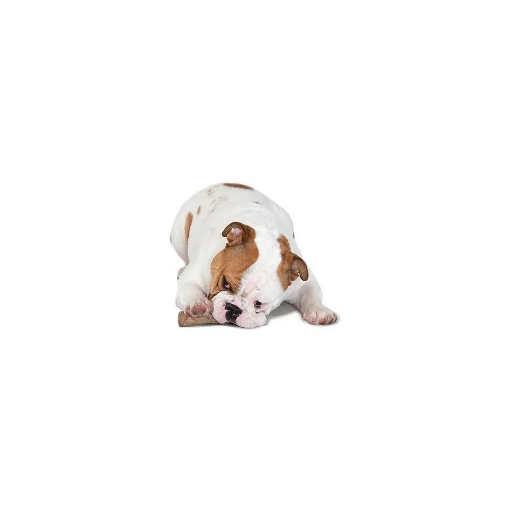 Petstages Zab. Pies Dogwood Gryzak  "Xs" Ps216