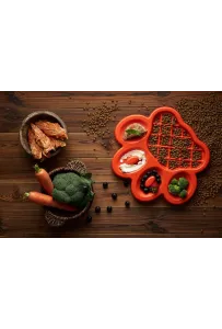 Pdh Paw 2-In-1  Orange Easy