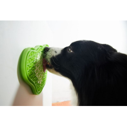 Pdh Paw 2-In-1  Orange Easy