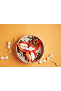 Pdh Spin Bougainvillea Orange  Miska Interakt.