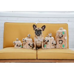 Outward Hound Ukryte Wiewiórki – Interaktywna Zabawka dla Psa