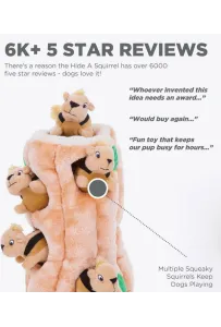 Outward Hound Ukryte Wiewiórki – Interaktywna Zabawka dla Psa