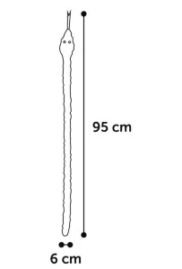 Flamingo Flocco Wąż Ze Sznura Czerwony 95Cm