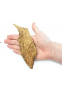 4Dogs Gryzak Poroże Daniela L (Hard) /15