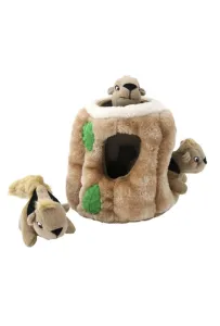 OH UKRYTE WIEWIÓRKI ZESTAW INTERAKTYWNY MD