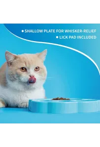 Pdh Paw 2-In-1  Mini Blue Easy