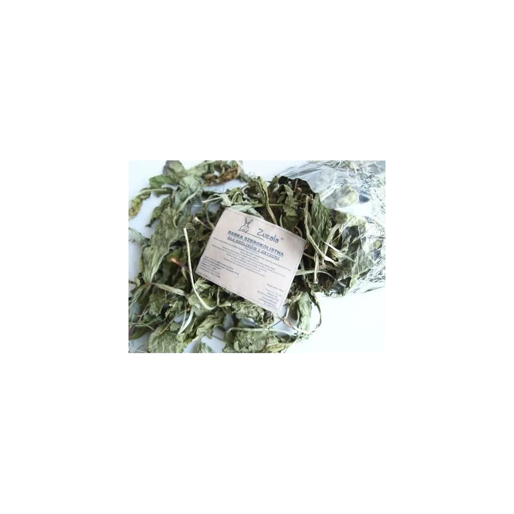 Zuzala  Babka Szerokolistna