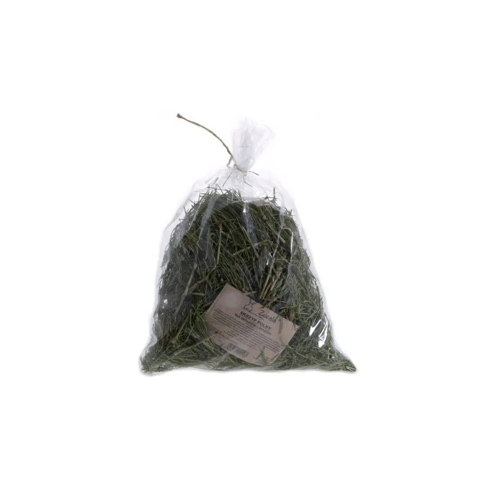 Zuzala  Skrzyp Polny