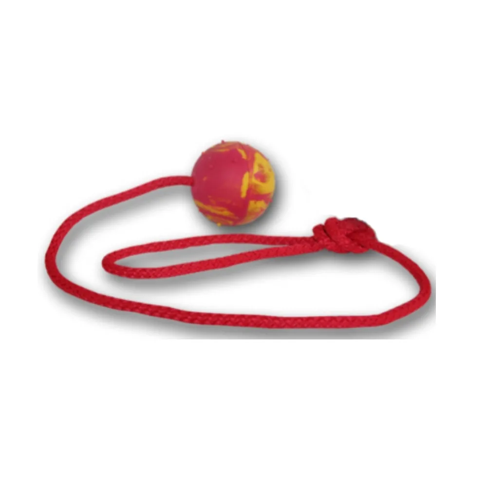 Fixi Piłka Aportowa "2" /40