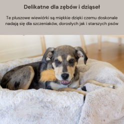 Wymienne Wiewiórki Do Piłki Węchowej 3Szt