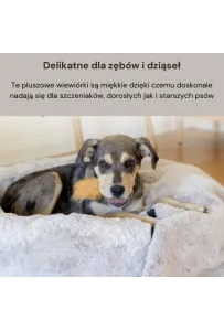 Wymienne Wiewiórki Do Piłki Węchowej 3Szt