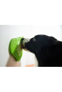 Pet Dream House Lick Slow Pad Baby Blue   13X22.5Cm