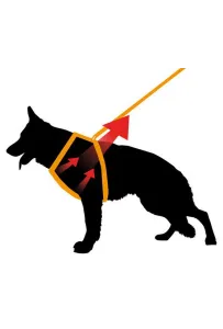 Ferplast Ergocomfort P Szelki XS czerwony [75462922]