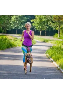 Dingo Pas do biegania Profi - 4 możliwości zapinania