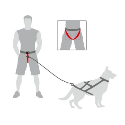 Dingo Pas do biegania Profi - 4 możliwości zapinania