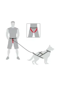 Dingo Pas do biegania Profi - 4 możliwości zapinania