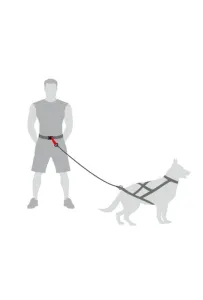 Dingo Pas do biegania Profi - 4 możliwości zapinania