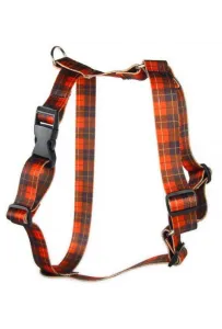 Matteo Szelki Guard 30mm szkocka krata