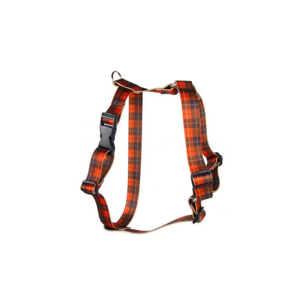 Matteo Szelki Guard 30mm szkocka krata