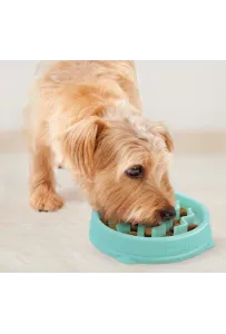Outward Hound Fun Feeder Tiny (XS) Miska miętowa [67829]